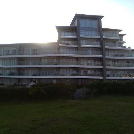 Apartament 35 one lusty glaze view New Quay Zewnętrze zdjęcie